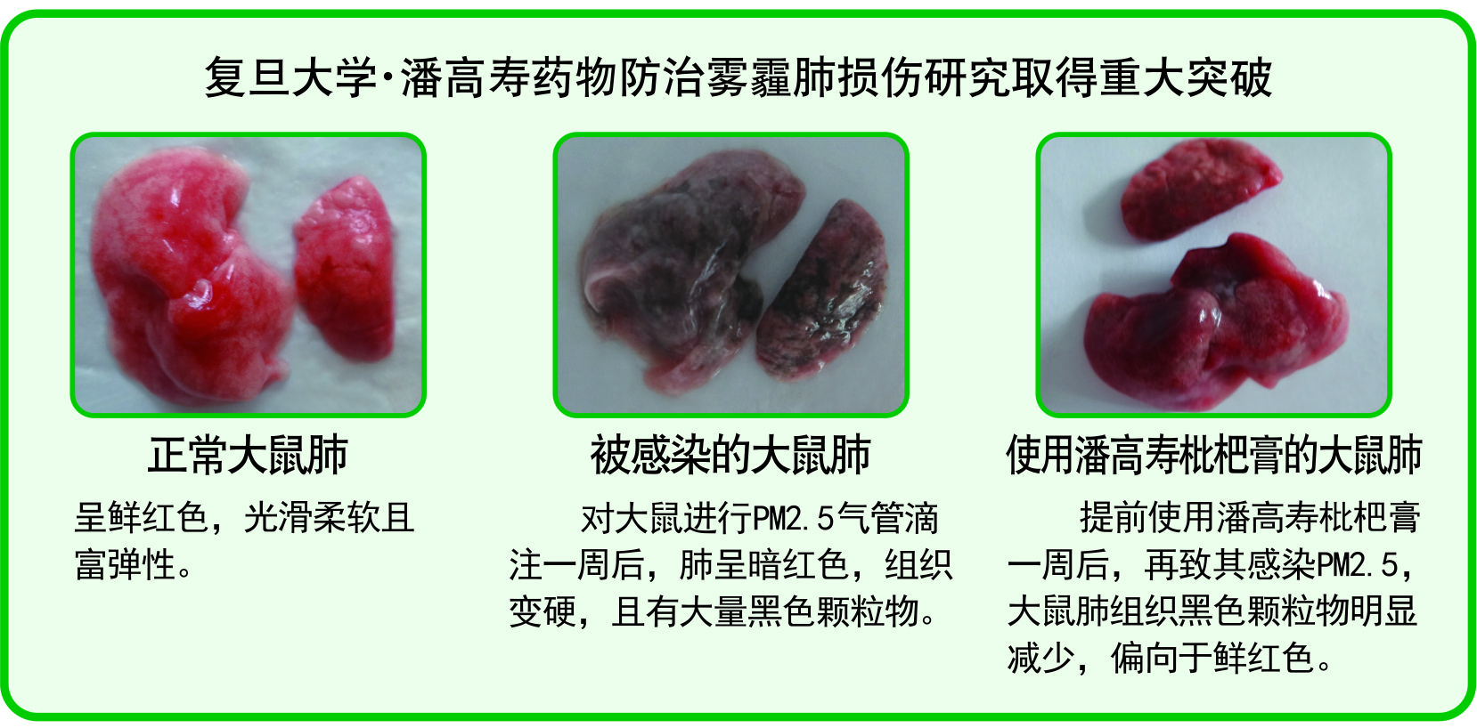 微信圖片_20181116150816.jpg